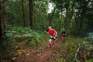 BIB: 
                            <button type="button" onclick="openModal(22446090)" class="btn btn-primary btn-sm float-right btn-popup" data-toggle="modal" data-target=".modal-high-quality">
                        <i class="fas fa-shopping-cart"></i> Add to Cart
                    </button>
                                            <button type="button" onclick="isThisMe(22446090, true)" class="btn btn-success btn-sm float-right btn-popup btn-isme hidden" data-toggle="tooltip" data-placement="bottom" title="นี่คือรูปของคุณใช่ไหม คลิกที่นี่เพื่อเอาเข้าอัลบั้ม">
                        <i class="fas fa-plus"></i> Add to album
                    </button>
                    <button type="button" onclick="isThisMe(22446090, false)" class="btn btn-warning btn-sm float-right btn-popup btn-isnotme hidden">
                        <i class="fas fa-ban"></i> Remove from album
                    </button>